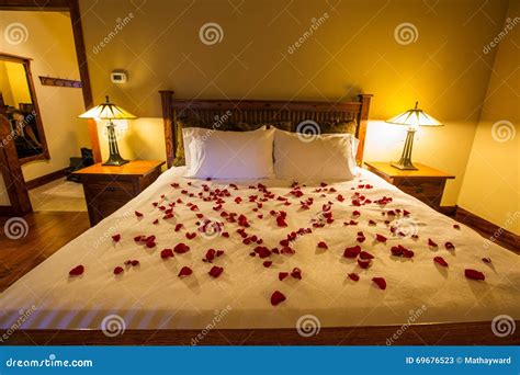 flower petals on bed